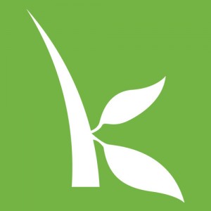 kiva loans that change lives